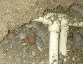 茄子河卫生间测漏