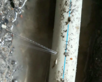 茄子河卫生间测漏水多少钱