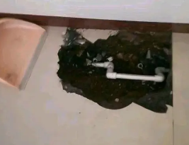茄子河卫生间测漏水多少钱